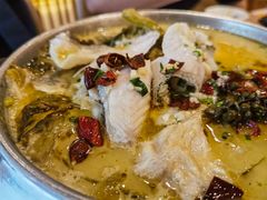 -永記粤菜·五指毛桃花雕鸡煲(九亭店)