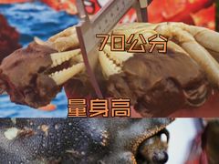 -小陆莲花蟹园农家乐(莲花岛店)