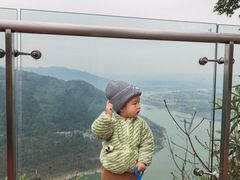 -铁山坪森林公园