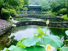 -云溪植物园