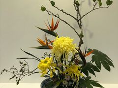 -共青国家森林公园-售票处