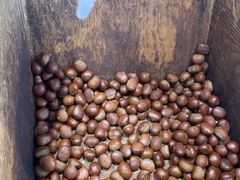 -粒上皇(天河南一路店)