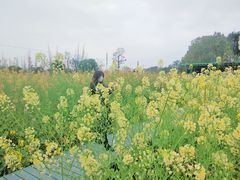 -洪湖家庭农场·团建·露营·会议