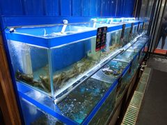 水产区-船梆煮•蒸汽海鲜·炉火烤肉(五四广场店)