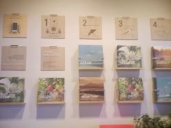 -悦诗风吟innisfree