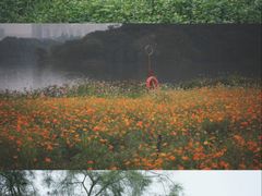 -海珠湖公园