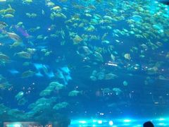 -成都浩海立方海洋公园