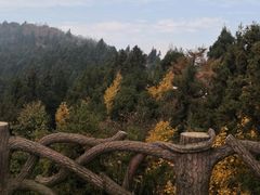 -南岳衡山风景名胜区