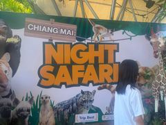 -清迈夜间动物园