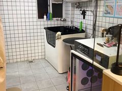 -袖虎宠物·金渐层缅因猫舍(灵芝店)