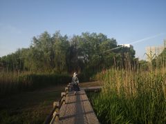 -长广溪湿地公园