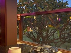 -亚龙湾红树林度假酒店-韩轩韩餐厅