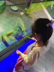 -未来动物城主题公园(正弘城店)