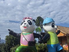 -中国大熊猫保护研究中心雅安碧峰峡基地