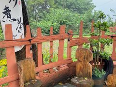 -南山植物园