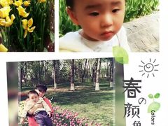 -玲珑塔公园