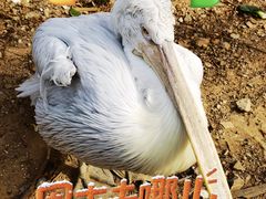 -无锡动物园·太湖欢乐园
