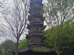 -上海佘山国家森林公园西佘山园