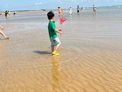 -日照海滨国家森林公园