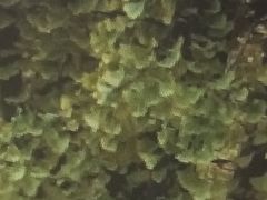 -仁和公园(顺义区)