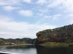 -黄椅山火山森林公园