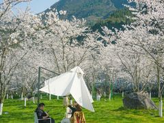 -高岚大峡谷旅游度假区