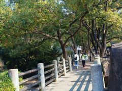 -白马涧龙池景区