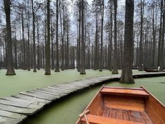 -渌洋湖湿地公园