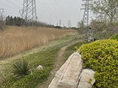 -大港湿地公园