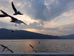 -滇池海埂公园