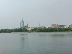 -莲花池公园