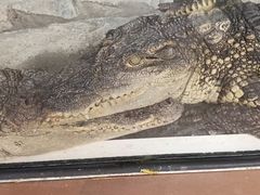 -哈尔滨北方森林动物园