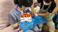 -慧婴轩婴儿理胎发胎毛笔胎毛画手足印(通州店)