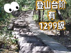 -北京十三陵国家森林公园蟒山景区