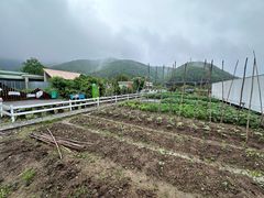 -宁波九龙湖开元度假村