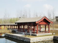 -张家湾公园