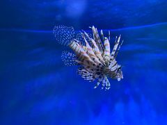 -太平洋海底世界