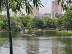 -晓港公园