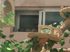 -青藏高原野生动物园