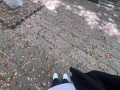 -乌镇东栅景区