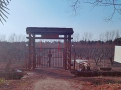 -同里国家湿地公园