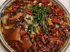 -付掌柜在成都·热炒砂锅集(金禾店)