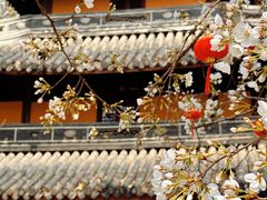 -龙华寺