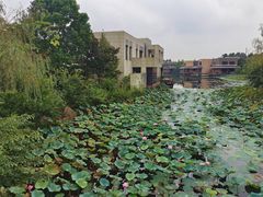 -上海怡沁园度假酒店
