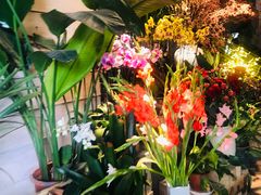 -春暖花开(西溪店)
