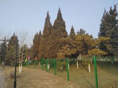 -太阳宫公园
