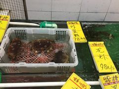 水产区-鸿达渔港