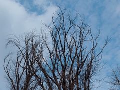 -白鹭湾湿地公园