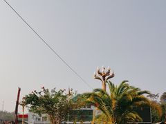 -打洛口岸