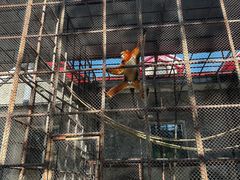 -哈尔滨北方森林动物园